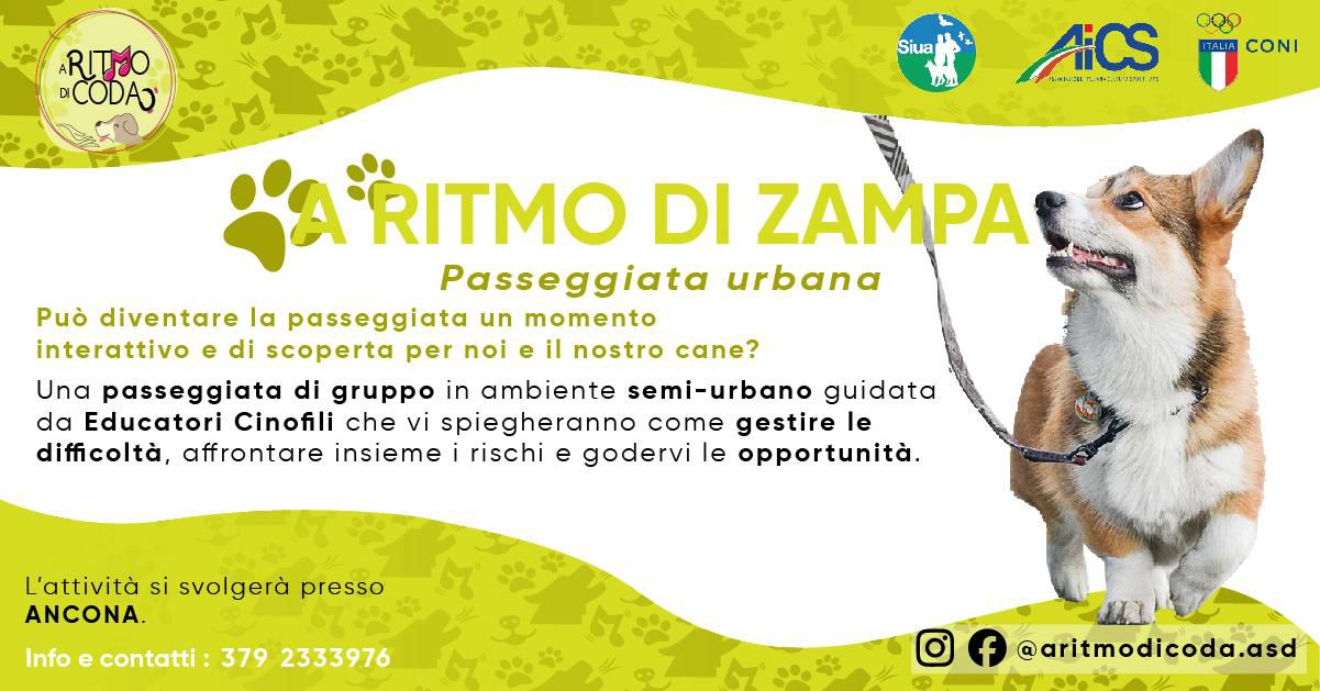 A RITMO DI ZAMPA (Ancona frazione Varano)