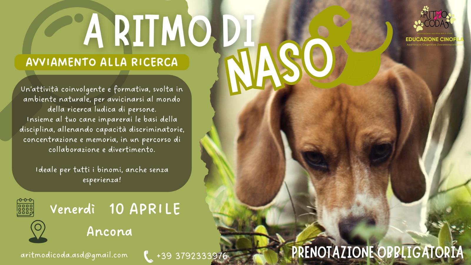 A ritmo di naso (avviamento alla ricerca)