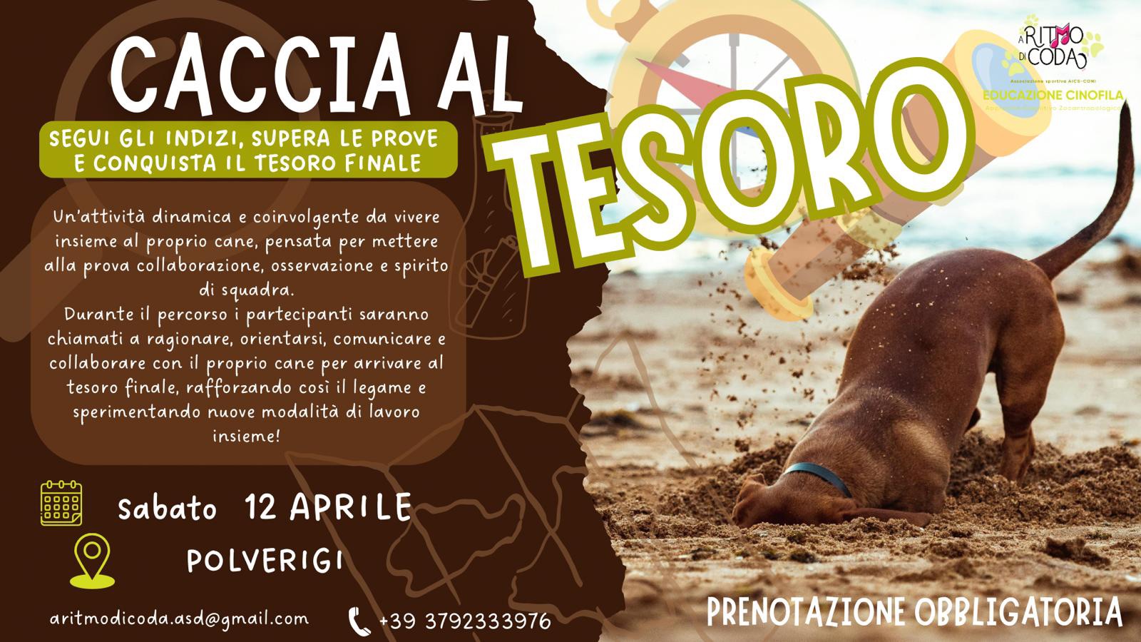 Caccia al Tesoro