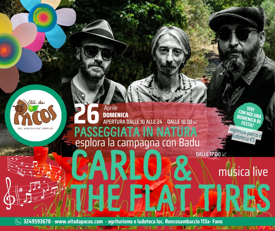 🌿🎶 DOMENICA BESTIALE – Carlo & The Flat Tires 🐑🔥