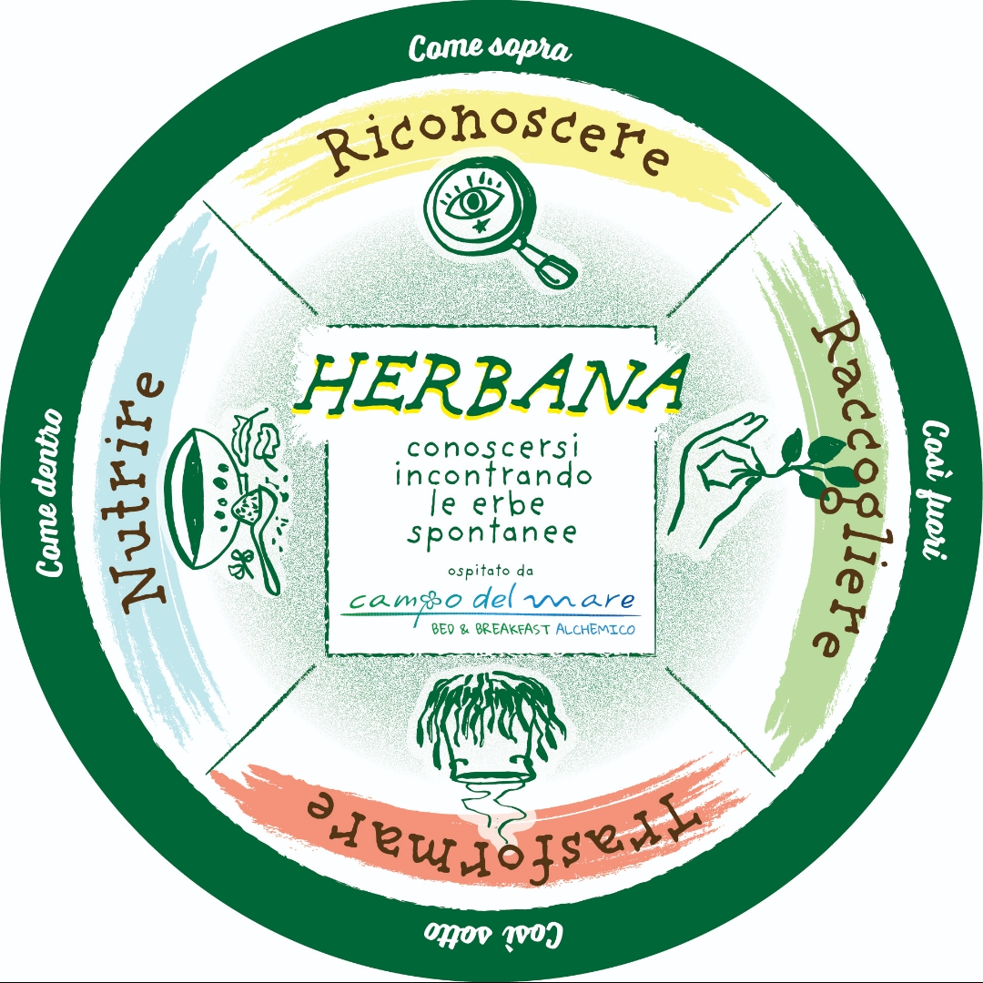 Herbana