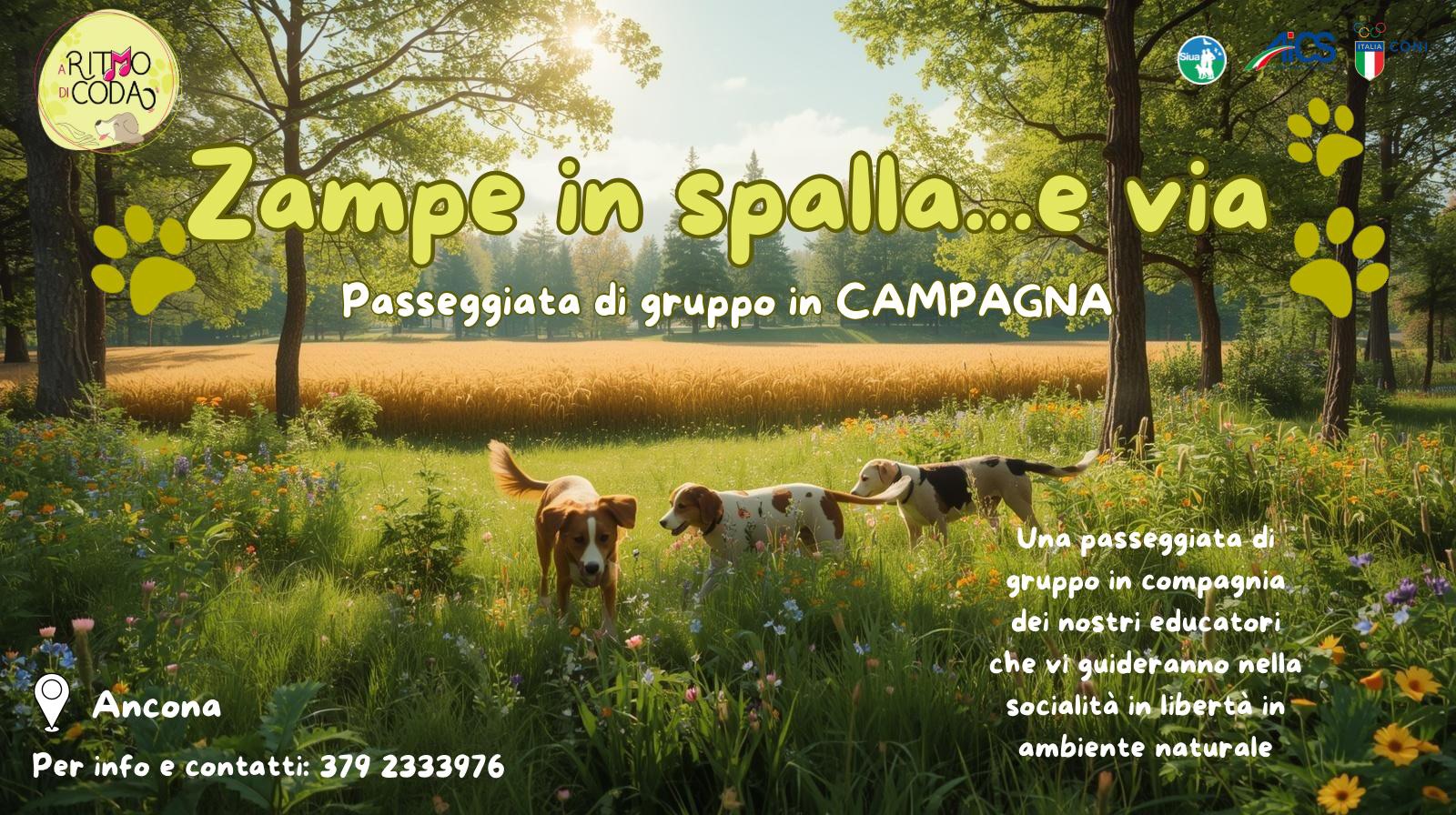 ZAMPE in SPALLA...e via!- Ancona
