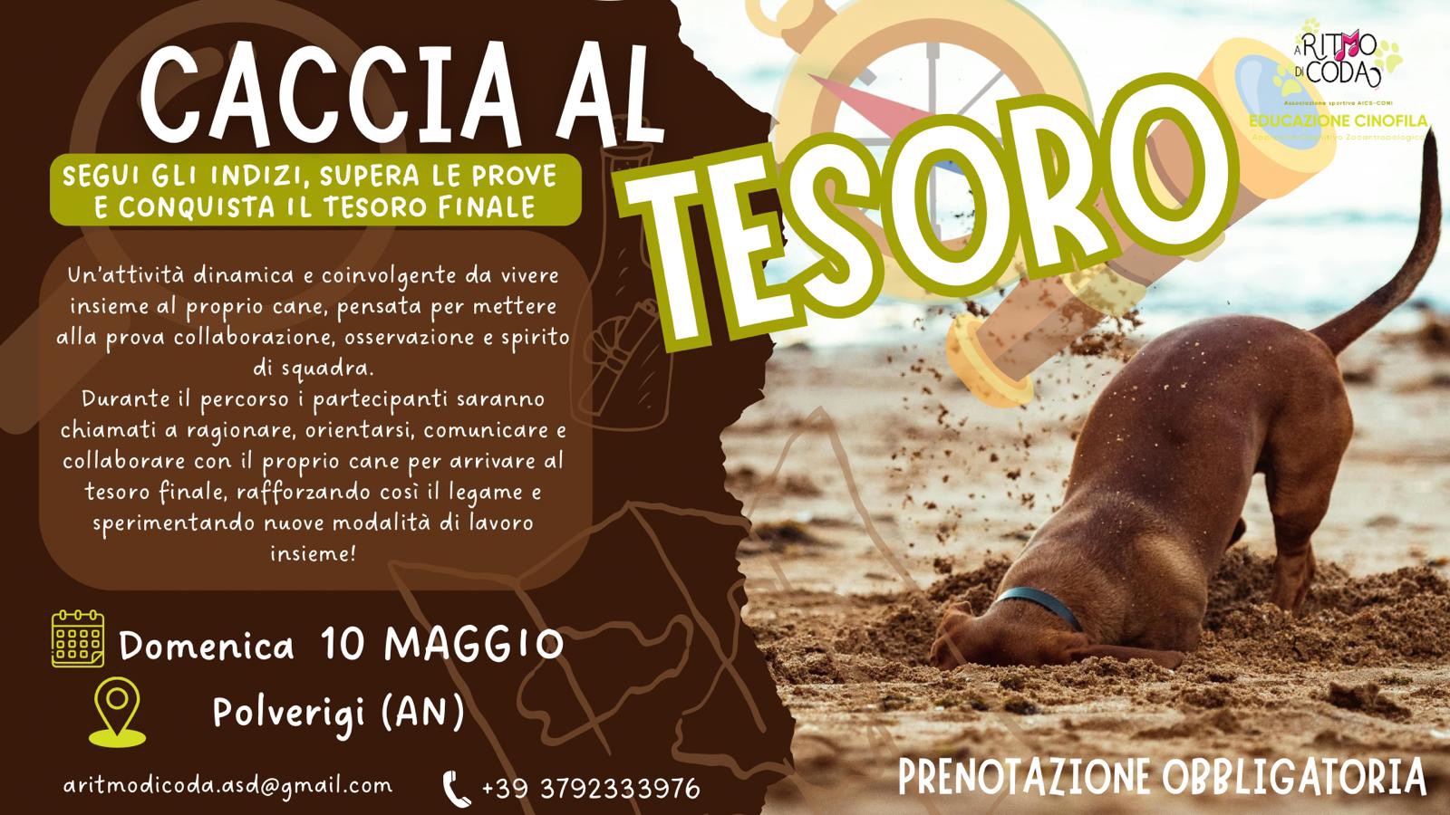 Caccia al Tesoro