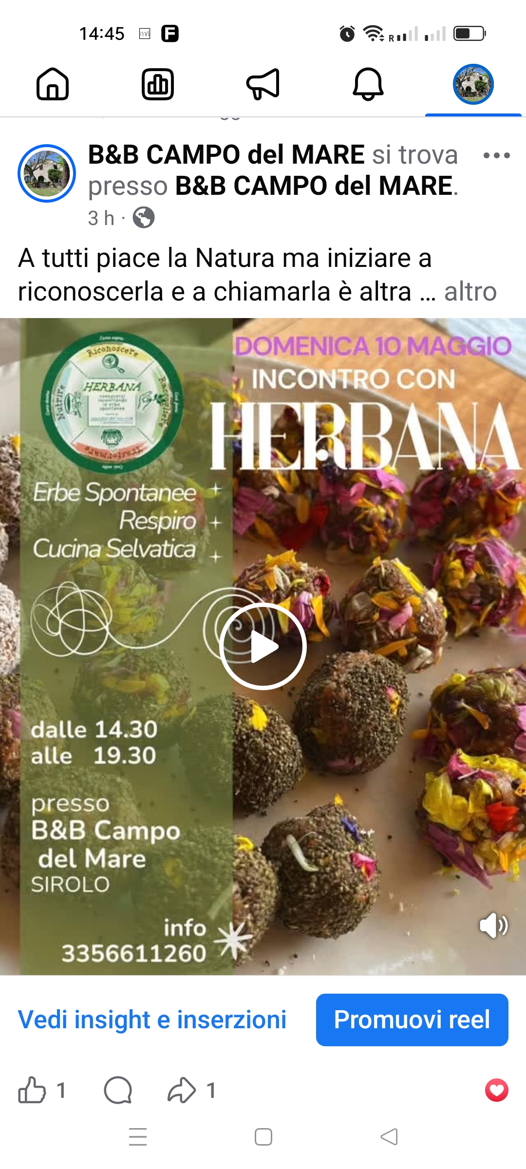 HERBANA – Conoscersi Incontrando le Erbe Spontanee