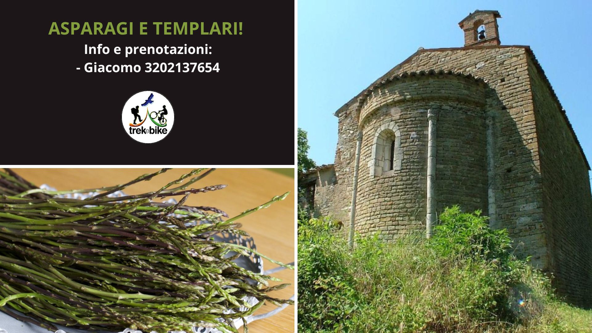 I Templari di Sant'Ansovino e Sagra dell'asparago!