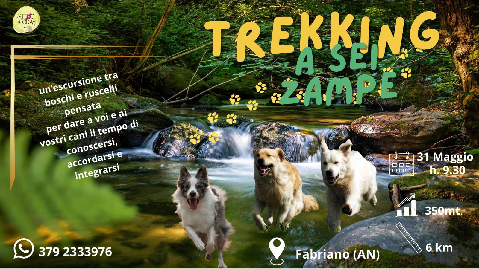 Trekking a 6 zampe