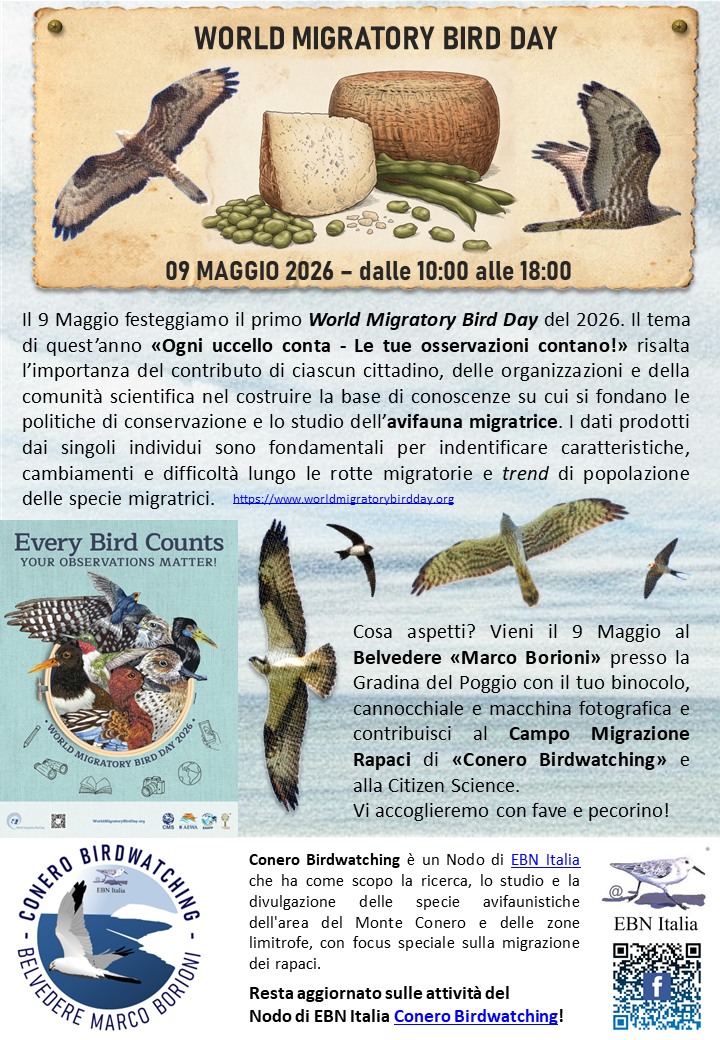 World Migratory Bird Day - Pecchiaioli... fava e pecorino!