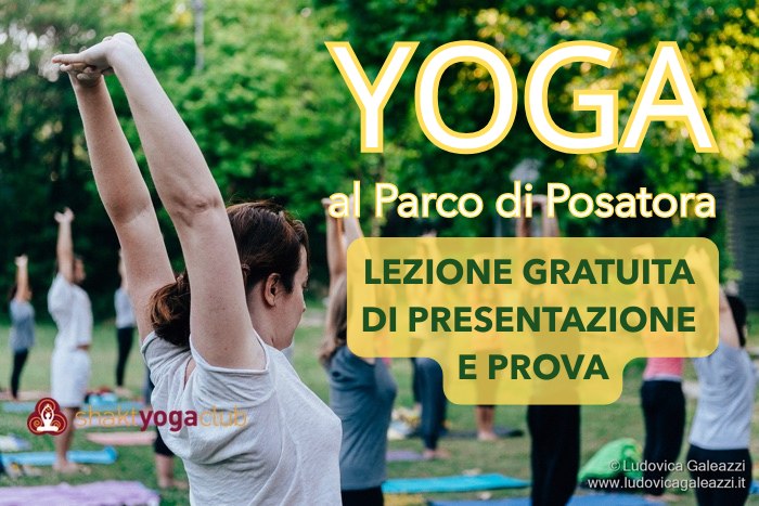 Lezione gratuita di presentazione | Corso estivo di IYENGAR® YOGA al Parco di Posatora ANCONA