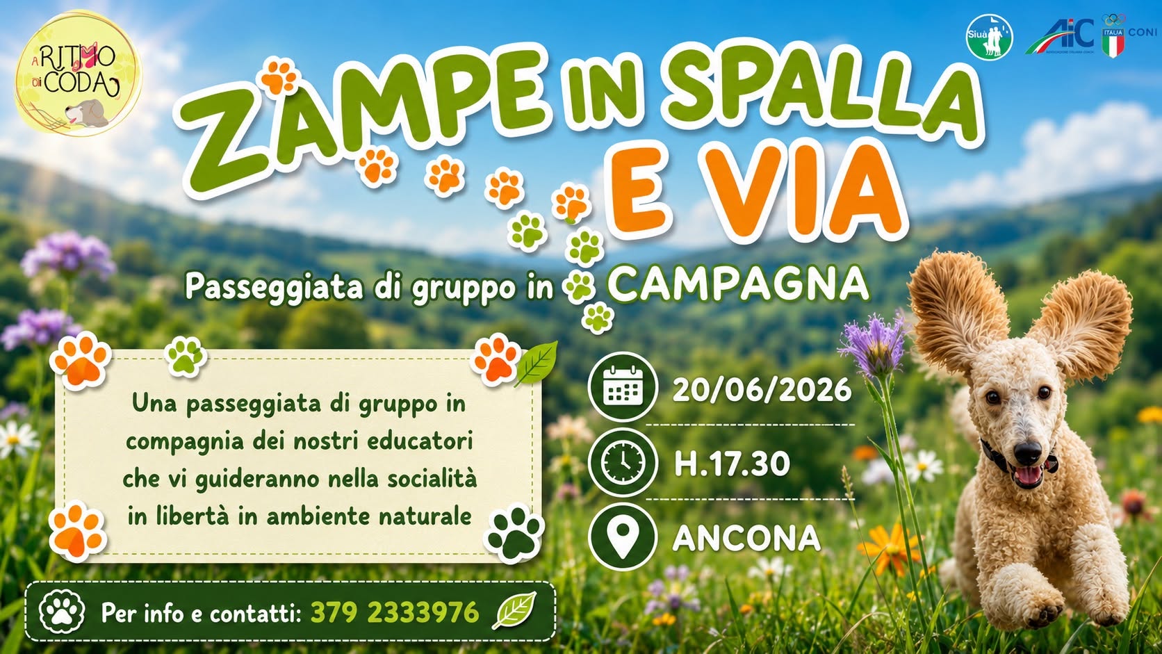 ZAMPE in SPALLA...e via!- Ancona